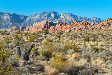 Red Rock Canyon, Southern Nevada, USA