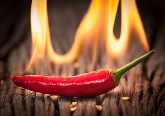 Naklejki  Czerwona papryczka chili z ogniem