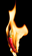 Red chili pepper with fire