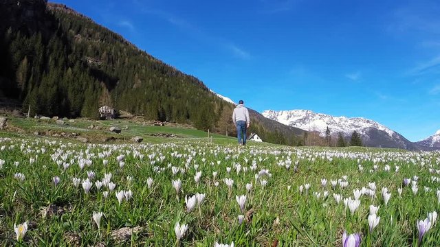 Passeggiare nel prato fiorito - Primavera e fiori crocchi