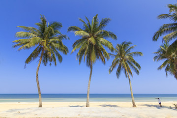 Obraz na płótnie Canvas Tropical Beach , Thungwualaen Beach at Chumphon , Thailand