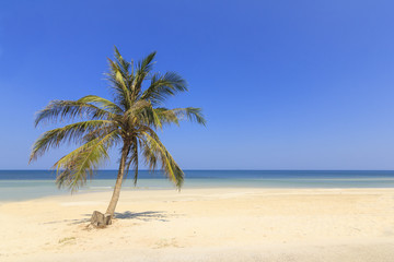 Fototapeta na wymiar Tropical Beach , Thungwualaen Beach at Chumphon , Thailand