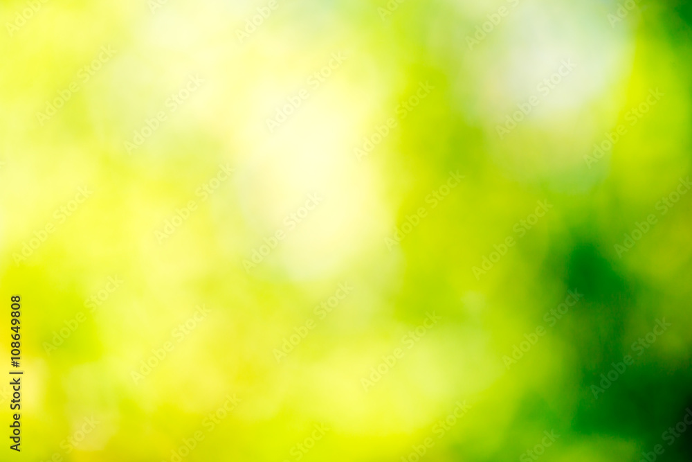 Wall mural green bokeh background