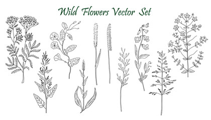 Wild Flowers set