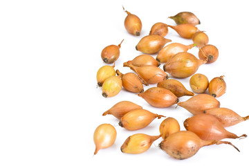 Fresh Onion on White Background