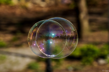 double soap bubble in Washington Square