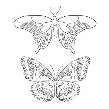 Set of sketches doodle butterflies