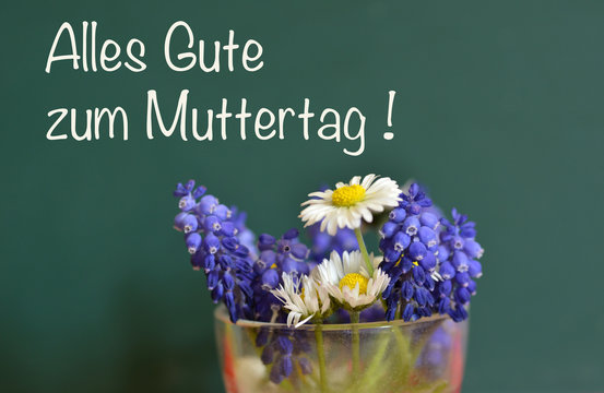 Alles Gute zum Muttag mit G&auml;nsebl&uuml;mchen