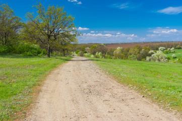Spring landscape with macadamized road in rural area, central Ukraine