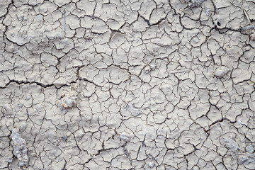 Surface of land with dry and cracked ground
