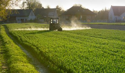 Traktor rolniczy podczas prac na polu - obrazy, fototapety, plakaty