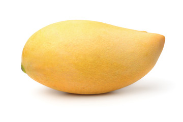 Mango fruit