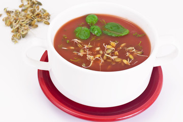 Tomato Soup with Germinated Grain in Plate. National Italian Cui