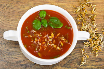 Tomato Soup with Germinated Grain in Plate. National Italian Cui
