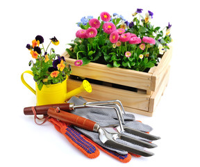 Gardening tools and flowers isolated on white background