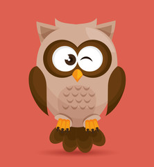 Owl character design 