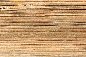 Pages of the old book