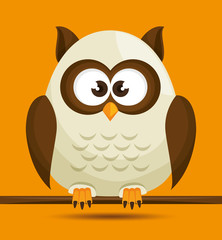 Owl character design 