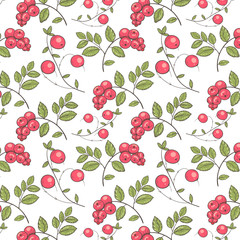 Pattern of forest berries for scrapbooking, textiles and materials.