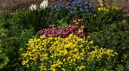 jardinage...fleurs