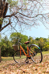 Naklejka premium Bicycle in the park