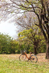Obraz premium Bicycle in the park
