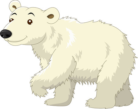 White Polar Bear cartoon
