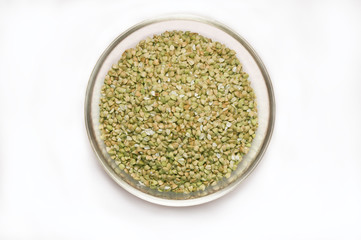 Green buckwheat