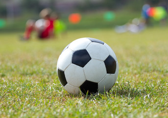 Fototapeta na wymiar Soccer ball on the grass