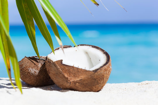 Broken Brown Coconut On Sandy Beach