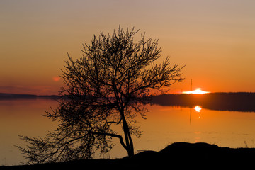 Sunset spring evening on the background of the river