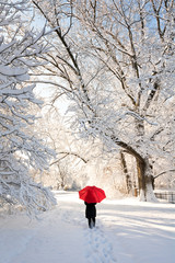 Red Umbrella Winter Walk - 108663878