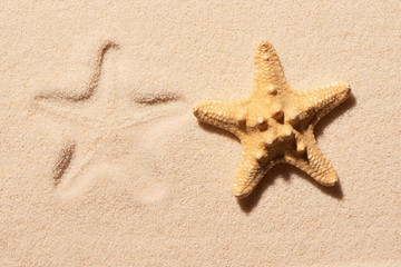 Fototapeta na wymiar Starfish and mark of starfish on sand. Summer beach background