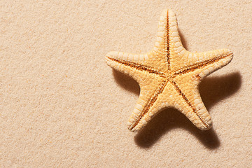 Fototapeta na wymiar Starfish on sand. Summer beach background