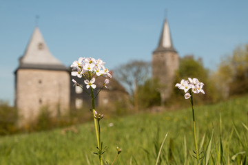 Frühling im Bergischen Land, Schöller