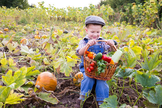 Kid on field with basket of vegetables