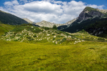 Landscape of Green hills in Pirin Mountain , Bulgaria