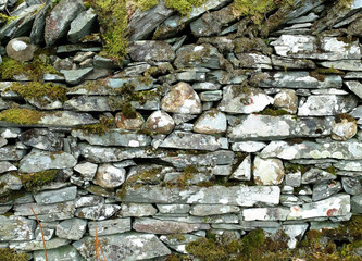 Dry stone wall and moss