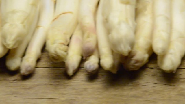 Asparagus officinalis Aspersie Ljekovita &scaron;paroga Gem&uuml;sespargel Szparag lekarski Asparago bianco di Tavagnacco Спаржа лекарственная Friuli Esp&aacute;rrago 아스파라거스 Bassano del Grappa Veneto