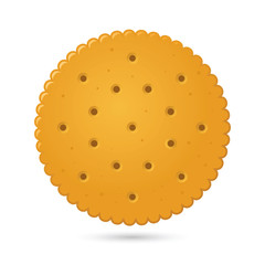 Round Biscuit Crackers Vector Illustration