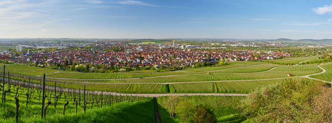 Panorama Fellbach im Remstal