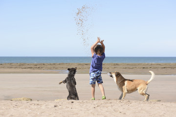 Jugando con Mascotas 