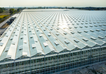 Fototapeta premium Aerial view on the greenhouse