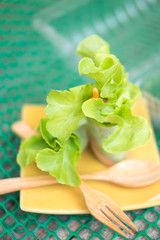 Fresh vegetable noodle spring roll, diet food, clean food, salad