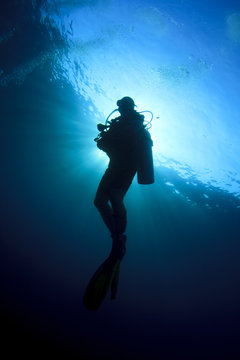 Scuba diving