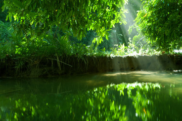 view of nice green water  pond  in tropic environment