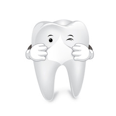 White tooth. Healthy tooth. A tooth isolated on white background.