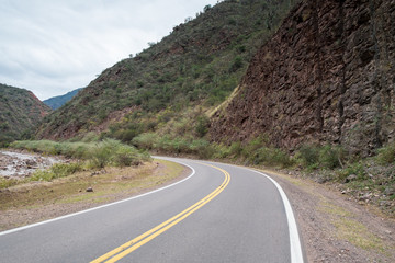 Road crossing Argentinian Andean highlands