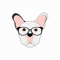 Fototapeta premium french bulldog design, pet and animal concept 