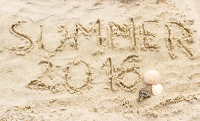 Summer 2016 drawn on sand and shells at the beach